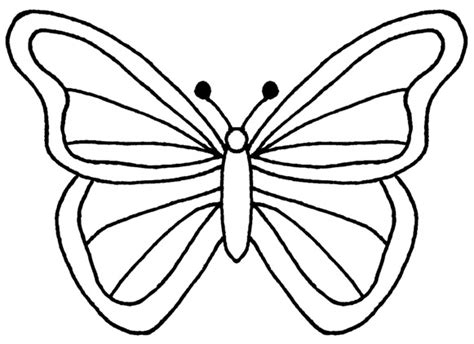 Free Butterfly Outlines, Download Free Butterfly Outlines png images, Free ClipArts on Clipart ...