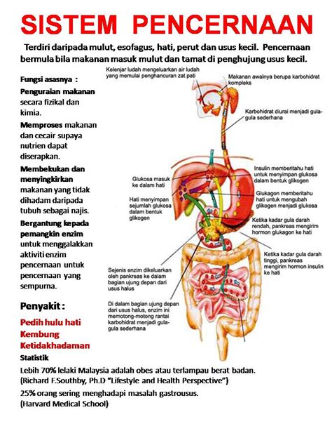 The Altruist: Sistem Saraf dan Otak