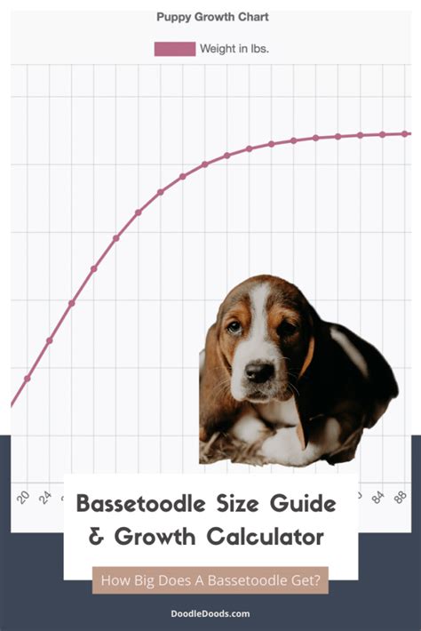 Size Chart Archives - Doodle Doods