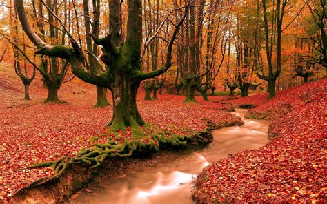 Free Autumn Desktop Wallpaper Backgrounds - Wallpaper Cave