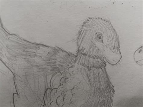 Did some Dromaeosaur sketches, tried a different style for the feathers ...