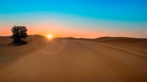 83,300+ Desert Sunrise Stock Photos, Pictures & Royalty-Free Images - iStock