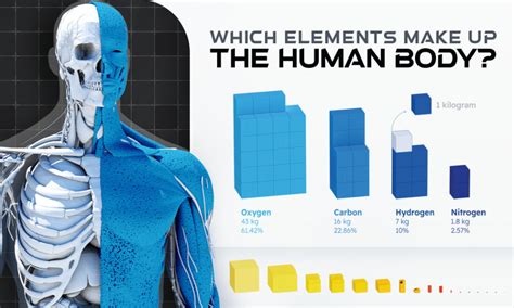 50 Shocking Facts: Unveiling Your Body's Water Composition - 2023