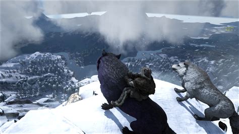 Image - ARK-Direwolf Screenshot 003.jpg | ARK: Survival Evolved Wiki ...