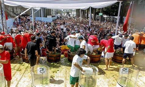 La Fiesta de la Vendimia 2020 en Chile se podrá disfrutar en marzo y abril