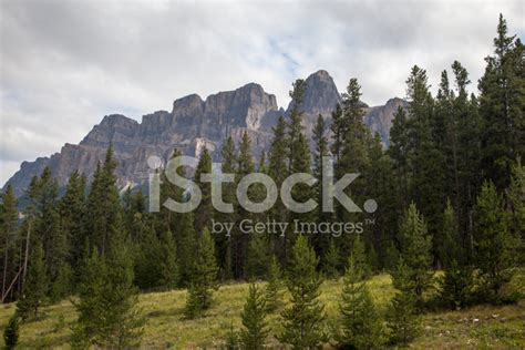 Canadian Rockies Stock Photo | Royalty-Free | FreeImages