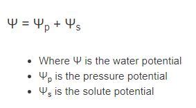 Water Potential Calculator | Formula | - Calculator Academy