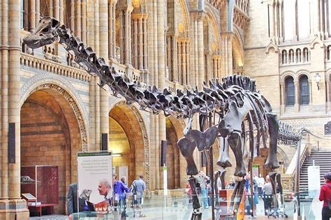 2023 Kid-Friendly Natural History Museum & Dinosaurs Private Guided Tour in London