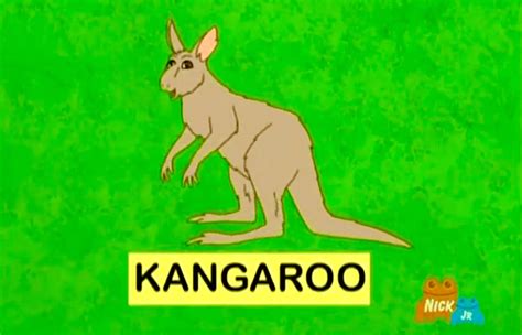 Kangaroo | Dora the Explorer Wiki | Fandom