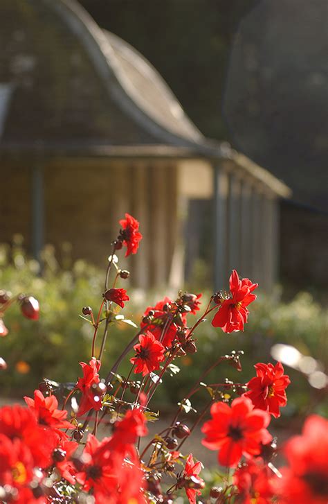 Blair Castle Gardens