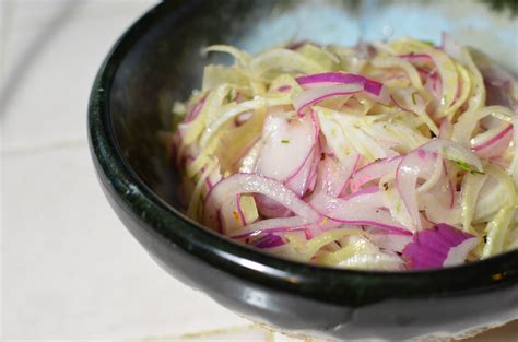 Red Onion and Fennel Summer Salad - Apron Warrior