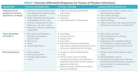 Diagnostic Approach to the Pruritic Dog - Today's Veterinary Practice