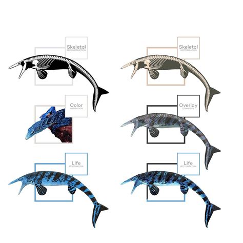 Tylosaurus Mosasaur Art Evolution – Permia