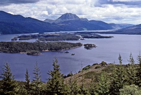 Slattadale Forest and Loch Maree Islands