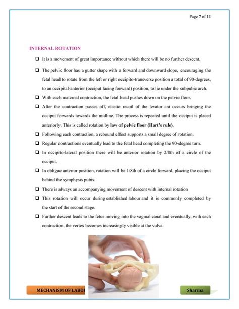 Mechanism of labour