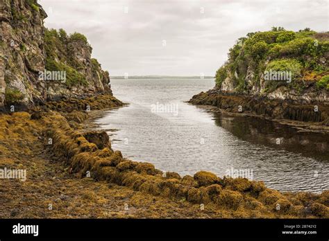 The mouth of the River Creed in Stornoway Bay, seen from the grounds of ...