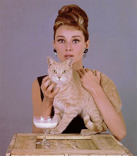 Audrey Hepburn with Orangey as 'Cat' in the film "Breakfast at Tiffany's" (1961)