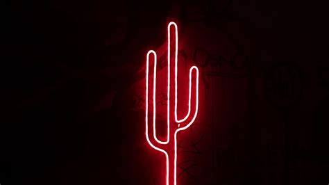 Download wallpaper 1920x1080 cactus, neon, light, red, darkness full hd, hdtv, fhd, 1080p hd ...