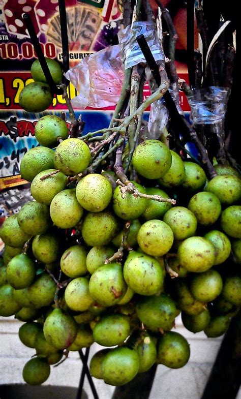 Quenepas | Boriken 365 | Puerto rico food, Puerto rican culture, Puerto ricans