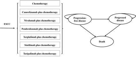 Frontiers | Cost-effectiveness analysis of PD-1 inhibitors combined with chemotherapy as first ...