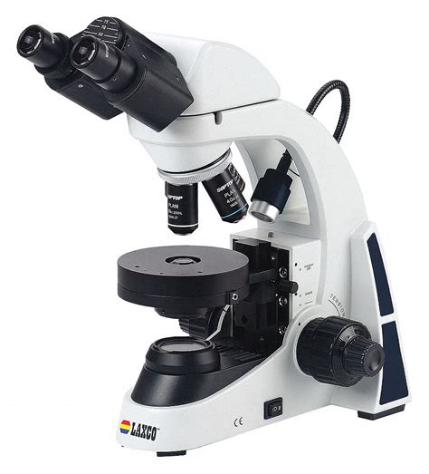 LAXCO, INC Compound Microscope - 46MN87|LMC-BF117-03B1 - Grainger