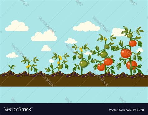 Garden Royalty Free Vector Image - VectorStock