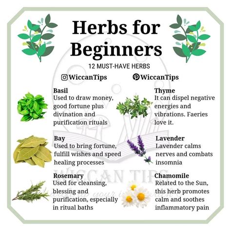 Which herb is a must-have for you? Don't take this list very seriously, it is okay if you don't ...