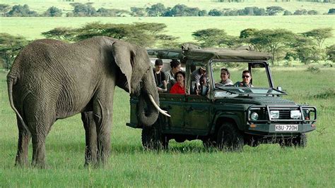 Kenya Family Safari - 11 Days Luxury Kenya Family Safari Ideal for Kids