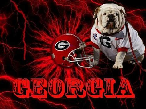Georgia Bulldog Mascot - Georgia Dawgs