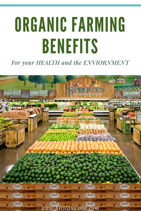 Organic Farming Benefits for Your Health and the Environment - Kit Stanwood | Organic recipes ...