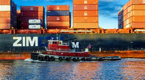 Container shipper Zim takes next step in blockchain pilot - Ledger Insights - blockchain for ...