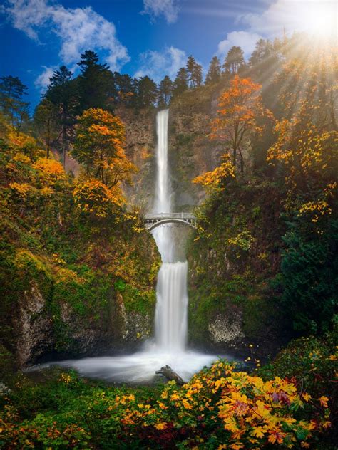 Oregon Fall Foliage 2025 - Moria Mollee