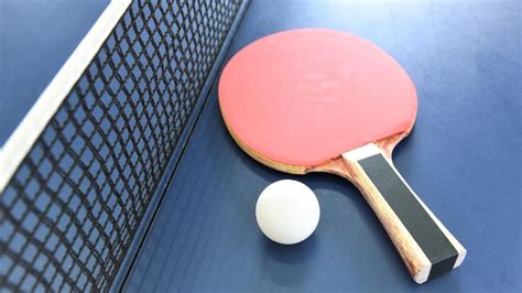 Basic Types Of Table Tennis Equipment & Accessories - SportsDean