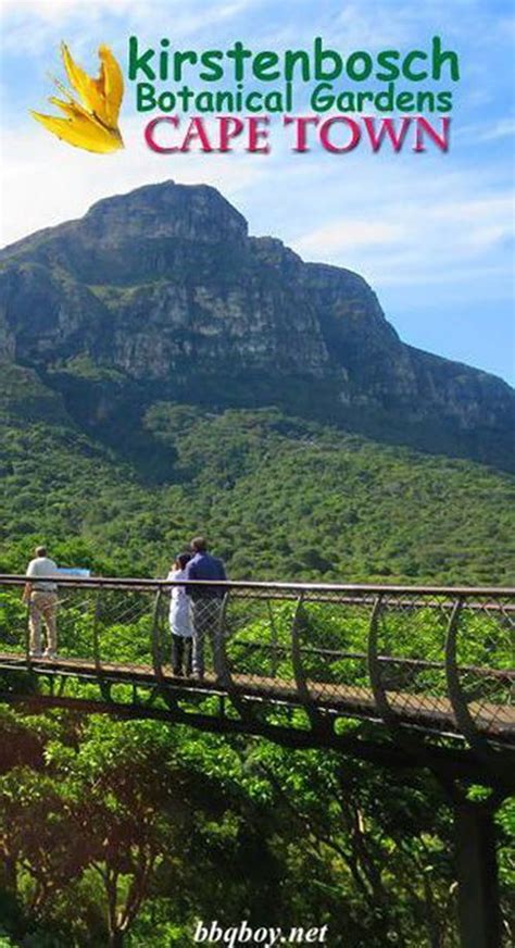 Kirstenbosch Gardens History | Fasci Garden