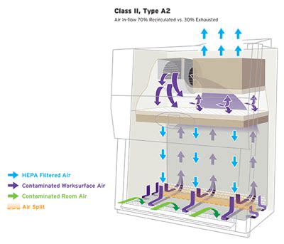 Biosafety Cabinet Types | NuAire