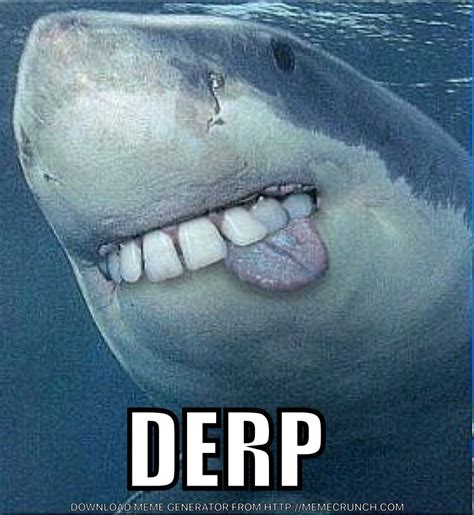 Pin by Karen Patterson on Shark Week | Shark week, Derp, Shark