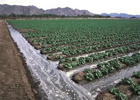 furrow irrigation - I thought this one would be good because it shows the main ditch at the top ...