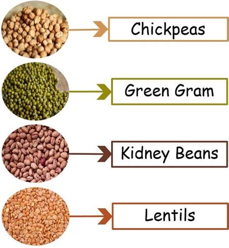 Cereals And Pulses Chart