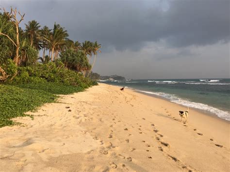 Ahangama Beach, Sri Lanka South Coast - Routes and Trips