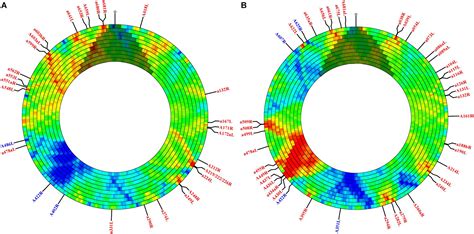 Frontiers | SMRT Sequencing of Paramecium Bursaria Chlorella Virus-1 Reveals Diverse Methylation ...