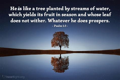 Psalm 1:3 — Verse of the Day for 01/27/5009