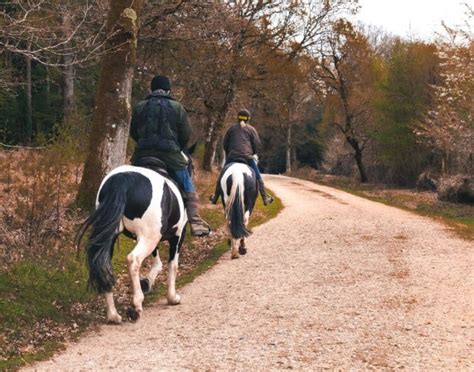 24 Places To Go Horseback Riding In Maryland