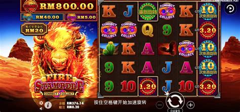 singapore casino entry fee