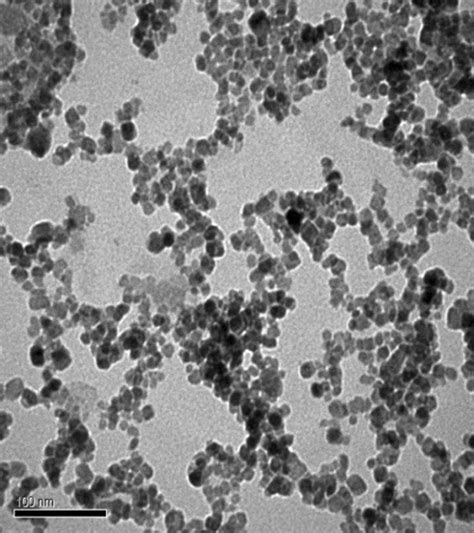 Characterization of maghemite NPs. TEM electromicrograph of the... | Download Scientific Diagram