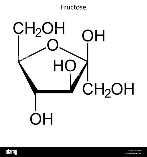 Skeletal formula of Fructose. chemical molecule Stock Vector Image ...