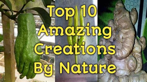 Top 10 Amazing Creations By Nature - YouTube