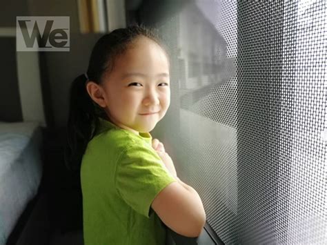 The advantages of security mesh windows & doors (safety windows ...