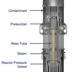 Schematic diagram of a NuScale Power Module™ which is an integrated ...