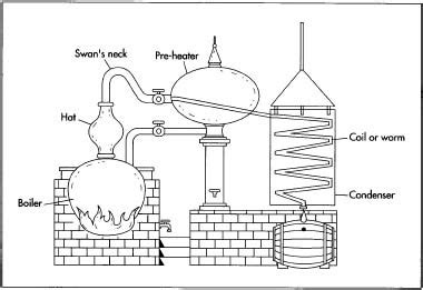 How cognac is made - manufacture, history, used, product, History, Raw Materials