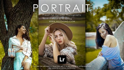 Free lightroom presets for portraits - bapframe